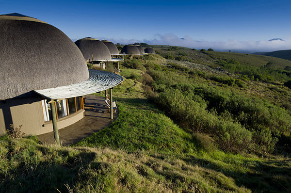 Tours to South Africa