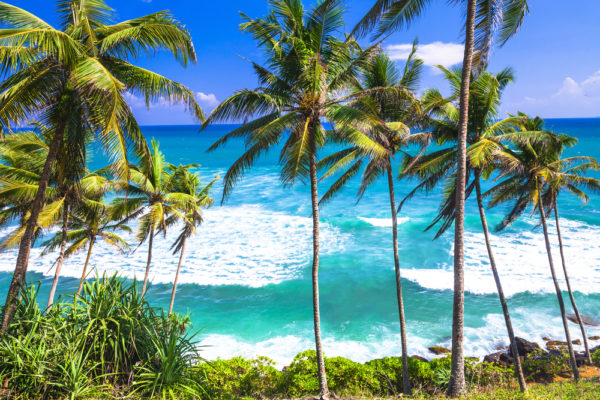 sri lanka inspiresport sports tour