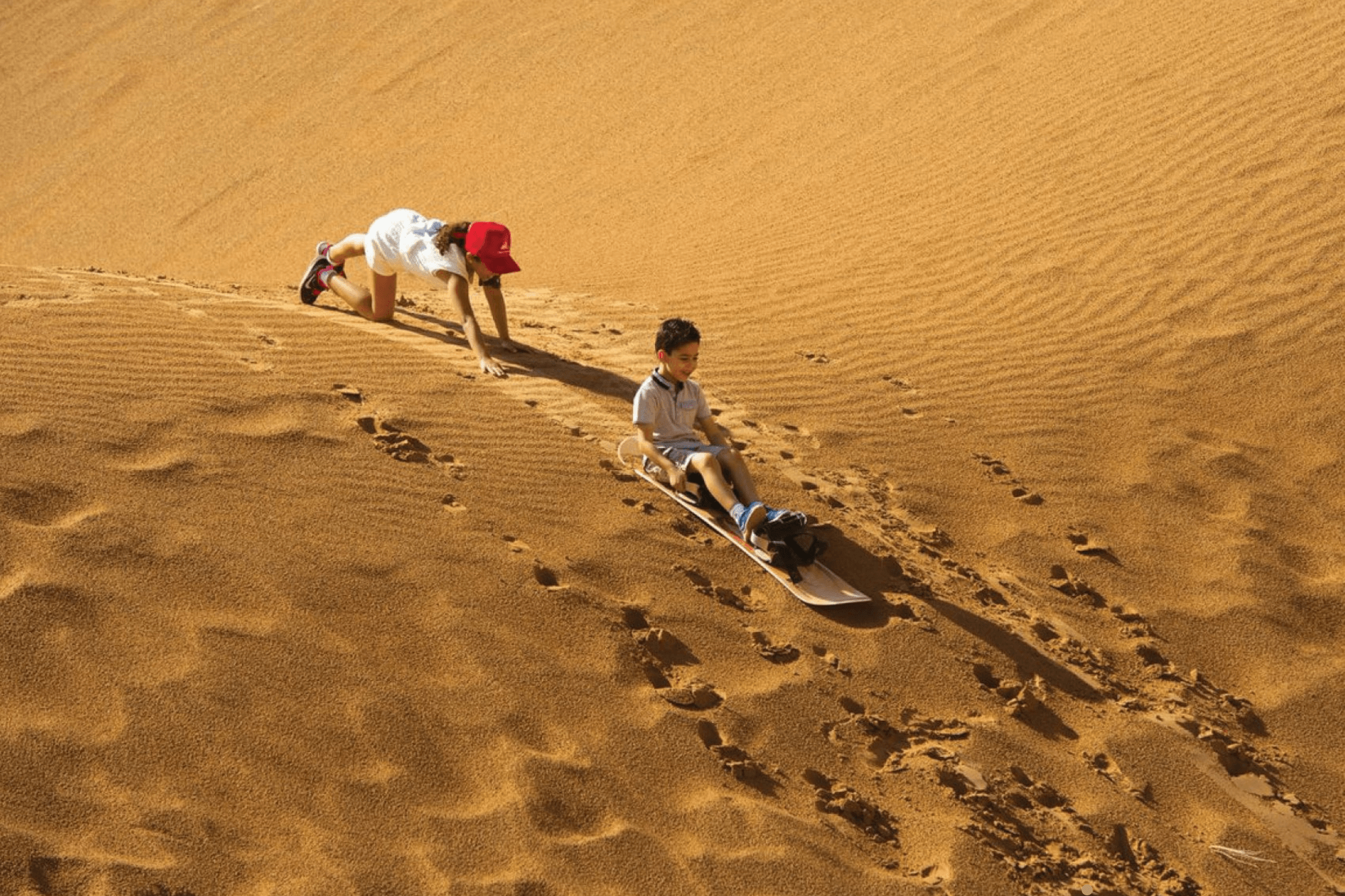 Safari 1 (800 x 533 px) (2000 x 1334 px)